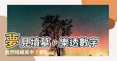 夢到墳墓是幾號|【夢到墳墓是幾號】夢到墳墓：驚爆！夢中數字竟是樂透幸運號。